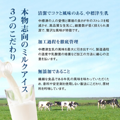 【定期便:全9回】【無添加】北海道 フローズンヨーグルト×12個【1105402】