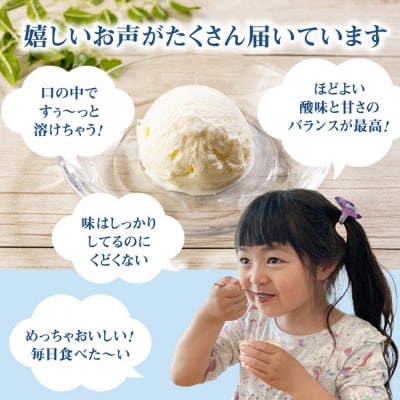 【定期便:全3回】【無添加】北海道 フローズンヨーグルト×22個【1106103】