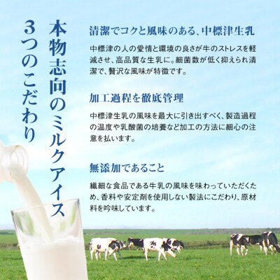 【無添加】北海道 フローズンヨーグルト×20個【1114303】