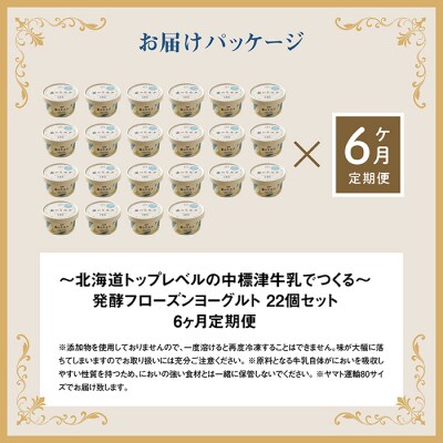 【定期便:全6回】【無添加】北海道 フローズンヨーグルト×22個【1106202】