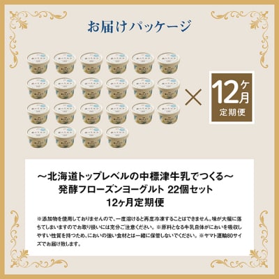 【定期便:全12回】【無添加】北海道 フローズンヨーグルト×22個【1106301】