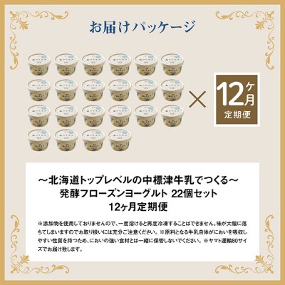 【定期便:全12回】【無添加】北海道 フローズンヨーグルト×22個【1106302】