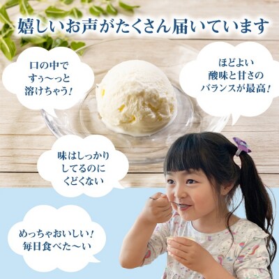 【定期便:全3回】【無添加】北海道 フローズンヨーグルト×12個【1108601】