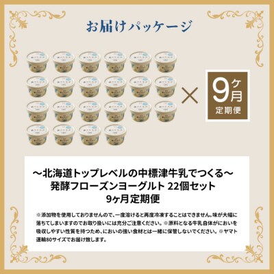 【定期便:全9回】北海道 フローズンヨーグルト×22個【11162】