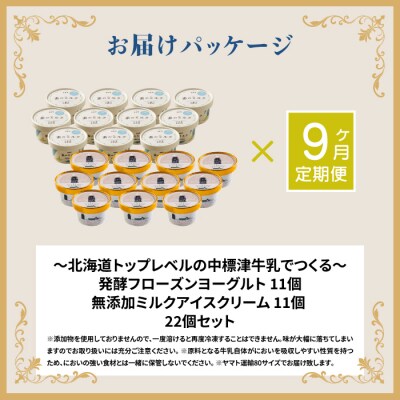 プレミアムミルクアイスクリーム11個とフローズンヨーグルト11個セット9カ月定期便【1115701】