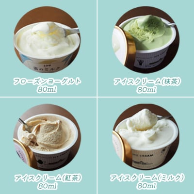 【無添加】北海道 プレミアム アイスクリーム8個・フローズンヨーグルト2個セット【1111501】
