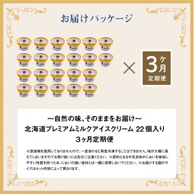 【定期便:全3回】【無添加】 北海道 プレミアムミルクアイスクリーム×22個【1105802】