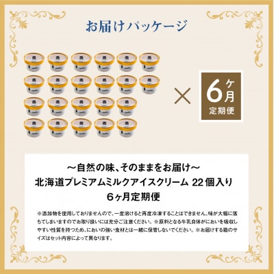 【定期便:全6回】【無添加】 北海道 プレミアムミルクアイスクリーム×22個【1105902】