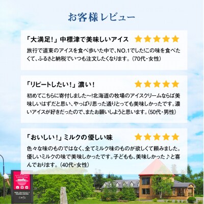 【定期便:全6回】【無添加】 北海道 プレミアムミルクアイスクリーム×22個【1105901】