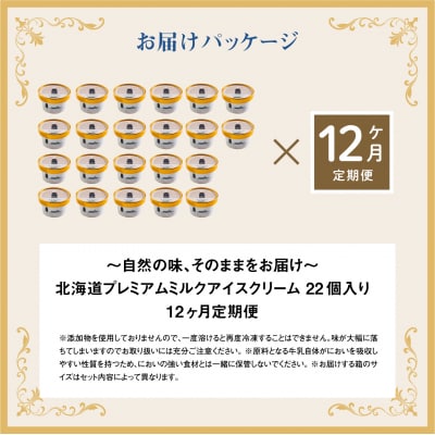 【定期便:全12回】【無添加】 北海道 プレミアムミルクアイスクリーム×22個【1106001】