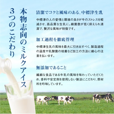 【定期便:全3回】【無添加】 北海道 プレミアムミルクアイスクリーム×12個【1108501】