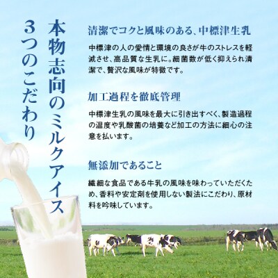 【定期便:全9回】北海道 プレミアムミルクアイスクリーム×22個【11161】