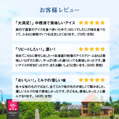 【定期便:全9回】北海道 プレミアムミルクアイスクリーム×22個【11161】