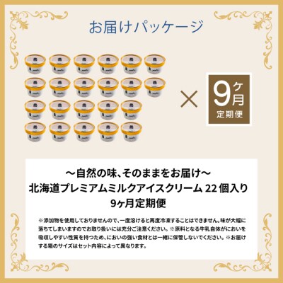 【定期便:全9回】北海道 プレミアムミルクアイスクリーム×22個【11161】