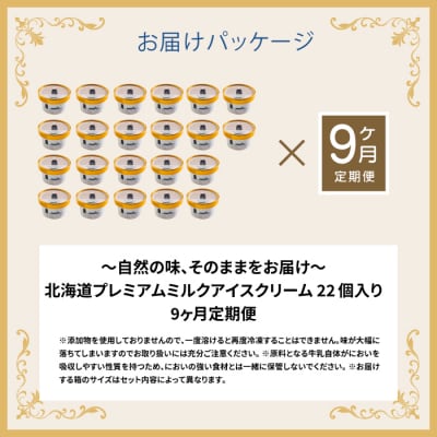 【定期便:全9回】北海道 プレミアムミルクアイスクリーム×22個【1116101】