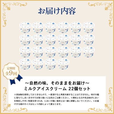 【定期便:全9回】北海道 プレミアムミルクアイスクリーム×22個【1116102】