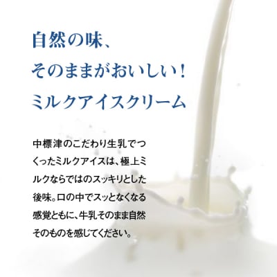 【無添加】北海道 プレミアム アイスクリーム(ミルク)10個【1111401】