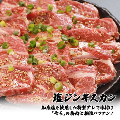 【定期便:全6回】知床ジンギスカン店「そら」ラム肩ロースジンギスカン2種計600g【1601201】