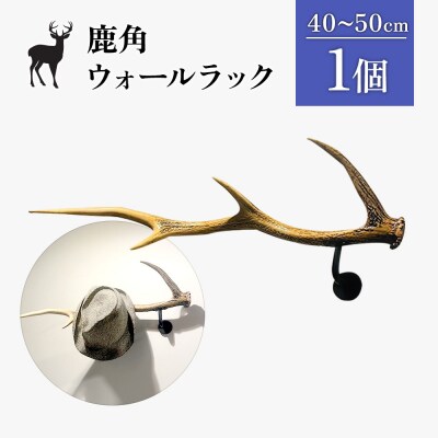 鹿角のウォールラック 1個 40cm～50cm【60006】