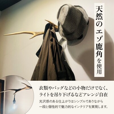 鹿角のウォールラック 1個 40cm～50cm【60006】