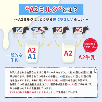 なかしべつ牛乳プレミアム NA2 MILK 200ml×6個【1402403】