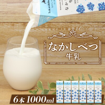 北海道なかしべつ牛乳 1L×6本【1402603】
