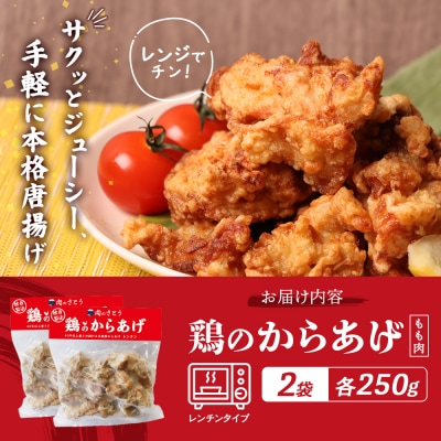 【レンジで簡単】鶏のからあげ もも肉500g(250g×2パック)【3500302】