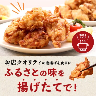 【揚げるタイプ】鶏のからあげ もも1.0kg(500g×2パック)【3501202】