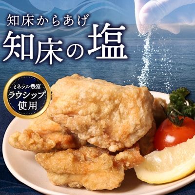 【揚げるタイプ】知床からあげ【知床の塩】 むね1.0kg(500g×2パック)【3501102】
