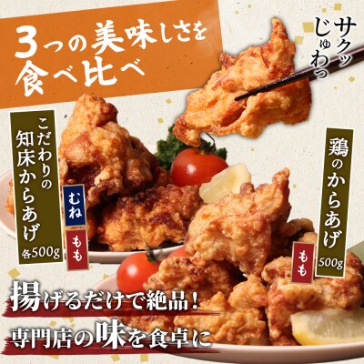 【揚げるタイプ】知床からあげ【塩こうじ】(もも・むね)・鶏のからあげセット【3506801】