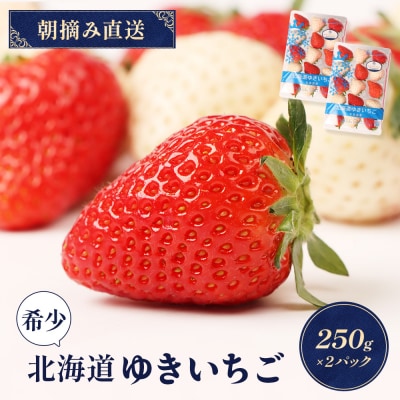 【北海道産】ゆきいちご(ゆきぼたん/すず)赤白MIX×2Pセット 250g×2【5900301】