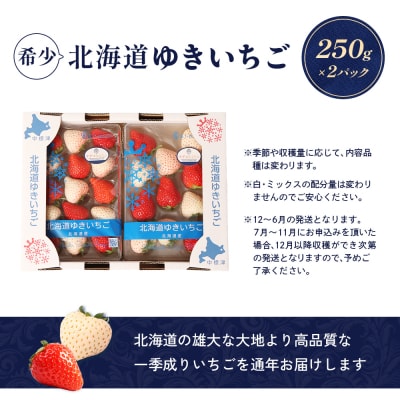 【北海道産】ゆきいちご(ゆきぼたん/すず)赤白MIX×2Pセット 250g×2【5900301】