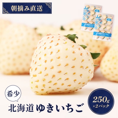 【11月以降、随時発送!】【北海道産】ゆきいちご(白いちご)2Pセット 250g×2【59001】