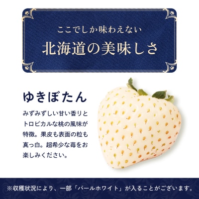 【北海道産】ゆきいちご(白いちご)2Pセット 250g×2【59001】