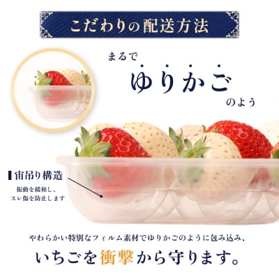 【12月以降、随時発送!】【北海道産】ゆきいちご(白いちご)2Pセット 250g×2【59001】