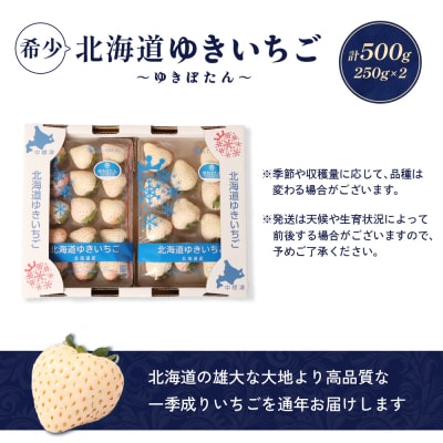 【北海道産】ゆきいちご(白いちご)2Pセット 250g×2【59001】