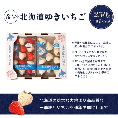 【北海道産】ゆきいちご(ゆきぼたん/すず)白×MIX 2Pセット 各250g×2【5900201】