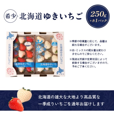 【北海道産】ゆきいちご(ゆきぼたん/すず)白×MIX 2Pセット 各250g×2【5900202】