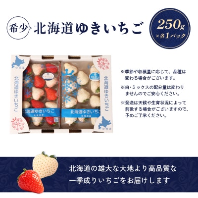 【北海道産】ゆきいちご(ゆきぼたん/すず)白×MIX 2Pセット 各250g×2【5900203】