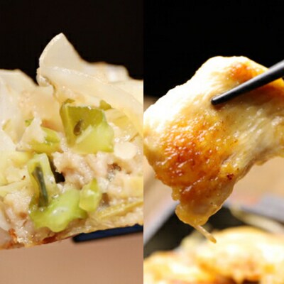 パクパクぎょうざ240gと焼きからあげ300gのセット　計540g【3600101】