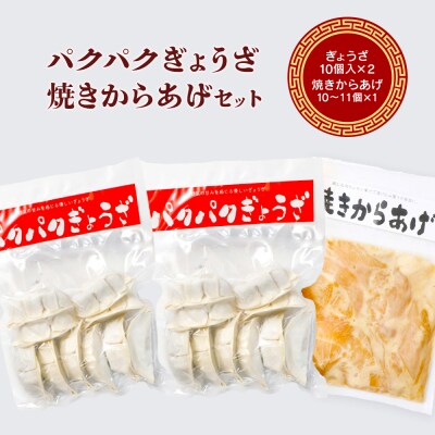 パクパクぎょうざ240gと焼きからあげ300gのセット　計540g【3600101】
