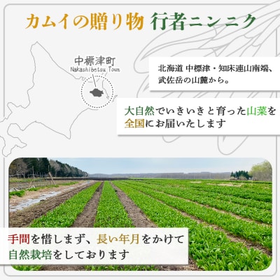 行者にんにくグリーン行者・ホワイト行者　計5袋(葉部・茎部)【2001001】