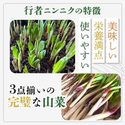 北海道中標津産 行者ニンニク醤油漬×3個・オイル味噌×3個セット【20003】