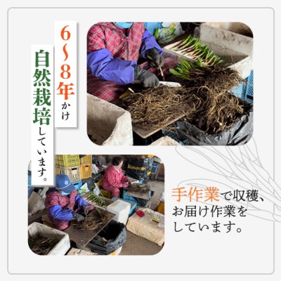北海道中標津産 行者ニンニク醤油漬×3個・オイル味噌×3個セット【20003】
