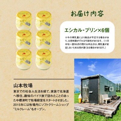 養老牛放牧牛乳使用エシカル・プリン×6個【1301302】
