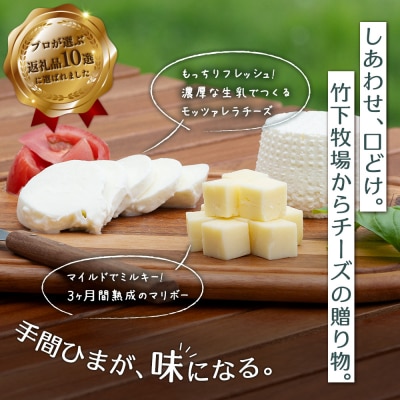 竹下牧場まるごとチーズセット【2400101】