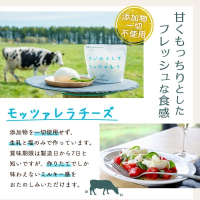 竹下牧場まるごとチーズセット【2400101】