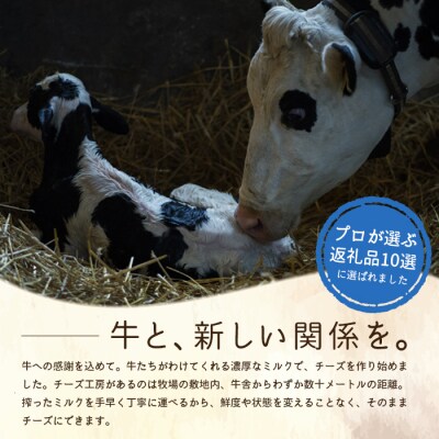 竹下牧場 takeshita farm【定期便3ヶ月】まるごとチーズセット 計560g【24002】