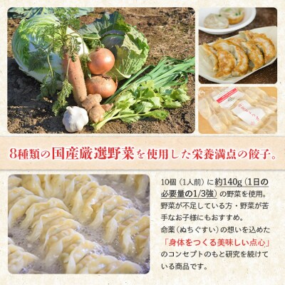 【なかしべつミルキーポーク100%使用】 樹苞 命薬ぎょうざ15個(約1.5人前)【5301101】