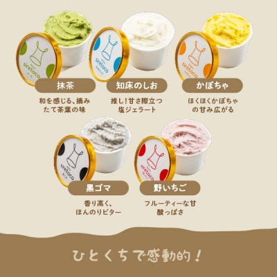 北海道感動カップジェラート 12個セット - 北海道中標津の新鮮ミルクを贅沢に使用【1200102】